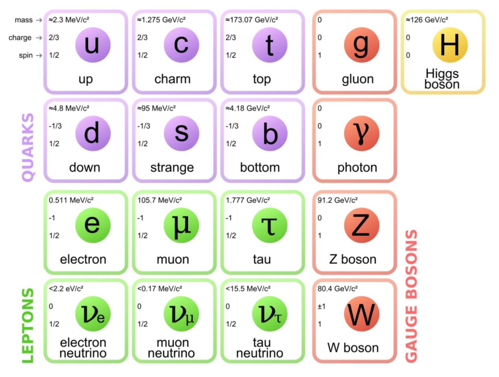 Particle Zoo